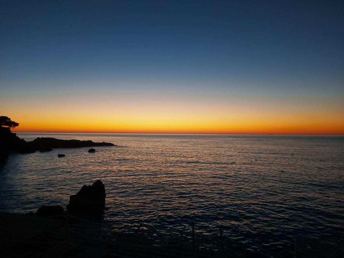 Paradise Beachfront View 1 بار المظهر الخارجي الصورة